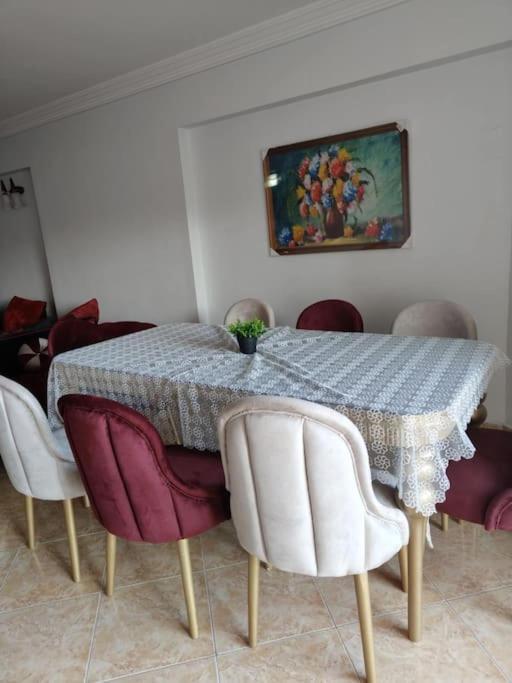 Newly Furnished In Alex * Alexandria