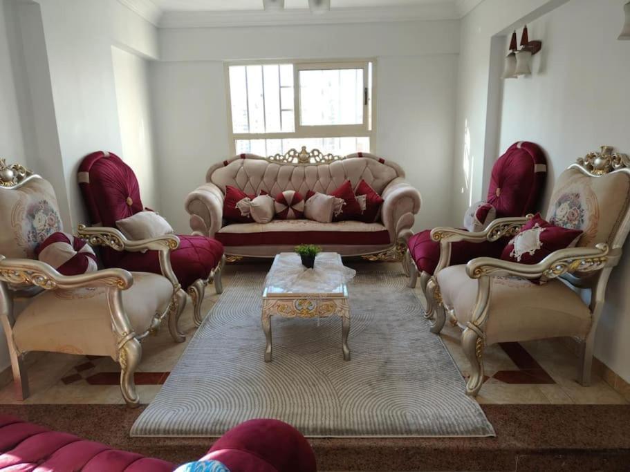 Newly Furnished In Alex Alexandria